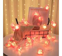 Runaup Rose Flower String Lights, 20 LED Warm White Battery Powered Pink Rose Fairy Lights for Birthday Party Wedding Festival