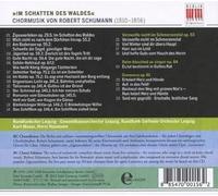 RundfunkSinfonie Orchestra & Chor Leipzig etc. - Im Schatten Des Waldes