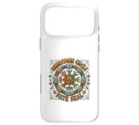Runestone Circle Norse Fate Seal Symbol Case for iPhone 17 Pro Max