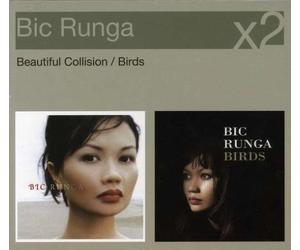 Runga, Bic - Beautiful Collision/Birds