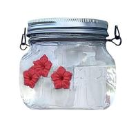 Runioney 1Pack Mason Jar Bird Feeder with Flower Feeding Ports for Outdoor Hanging Yard Garden Decoration,Jar Type