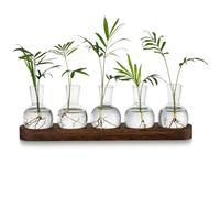Runioney Plant Terrarium Propagation Station, Glass Planter Bulb Vase with Wooden Tray, Modern Bud Vases for Living Room Office