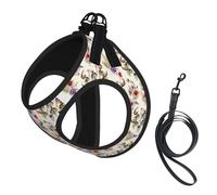 Runner Bull Skull Print Reflective Pet Leash Vest For Small Dogs & Cats, Adjustable Outdoor Walking Hiking Vest