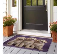 Runner Rugs for Hallway Fresh-Faced Golden Retriever Puppy Close-Up. Washable Kitchen Entryway Low Pile Soft Area Rugs for 80x240 cm Living Room Office Narrow Runner Rugs for Beige