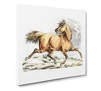 Running Brown Horse by Henry Alken Canvas Print | Gallery Wrapped 30mm Frame Wall Art | 14x14 inches | Ready to Hang | Modern Animals Picture | Living Room Bedroom Lounge Office
