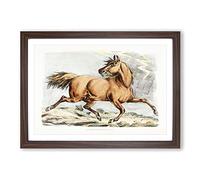 Running Brown Horse by Henry Alken Framed Print | A2 Walnut Framed Wall Art | Ready to Hang | Modern Animal Picture | Living Room Bedroom Lounge Office