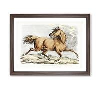 Running Brown Horse By Henry Alken Vintage Framed Print | A3 Walnut Framed Wall Art | Ready to Hang | Classic Animal Picture | Living Room Bedroom Lounge Office