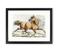 Running Brown Horse By Henry Alken Vintage Framed Print | A4 Black Framed Wall Art | Ready to Hang | Classic Animal Picture | Living Room Bedroom Lounge Office