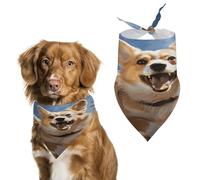 Running Corgi Easter Dog Bandanas for Small Medium Large Dogs,Cat Dogs,Pet Scarf - Polyester Cute Bibs.Triangle Pet Scarf for Puppy Pet,Personalized Birthday/Party Fun Idea Gift