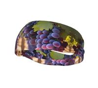 Running Exercise Headband, Yoga Men and Women Running Basketball Fitness Elastic Headband, Desert Grapes Sports Sweat-Absorbing Band,