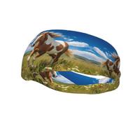 Running Exercise Headband, Yoga Men and Women Running Basketball Fitness Elastic Headband, Horses on The Prairie Sports Sweat-Absorbing Band,