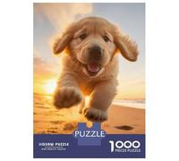 Running Goldie 1000 Pc Thick Cardboard Puppy Puzzle for Beginner Puzzlers Decompression Relaxation 52x38cm/1000pcs
