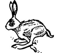 'Running Hare' Rubber Stamp - Unmounted Design for Crafting & Scrapbooking, A7 (RS00042948)