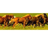 RUNNING HORSES 3 D Lenticular Bookmark with amazing motion effect (Flip), 5,8 x 2,0 inches, by Edition Colibri (10169)