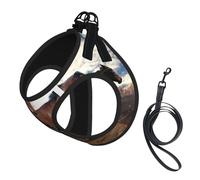 Running Horses,Pet Harness,Adjustable Reflective Dog Harness,Pet Leash Vest,M