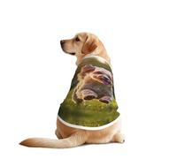 Running Puppy Dog Shirt Vest Dog Clothes- Breathable Cooling for Big Dogs, Sun Protection Comfort Wear for Golden Retriever, Husky, Alaska Outdoor Activities 4X-Large