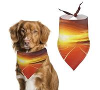 Running Track Sunset Easter Dog Bandanas for Small Medium Large Dogs,Cat Dogs,Pet Scarf - Polyester Cute Bibs.Triangle Pet Scarf for Puppy Pet,Personalized Birthday/Party Fun Idea Gift