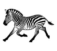 'Running Zebra' Rubber Stamp - Unmounted Design for Crafting & Scrapbooking, A8 (RS00052638)