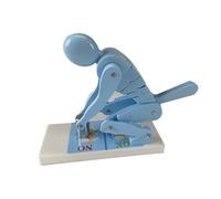 RUNNINGeuQ Human Weightlifting Spine Force Model,Bending Weightlifting Correct Posture Demonstration Model,for Club,home Display (Blue)