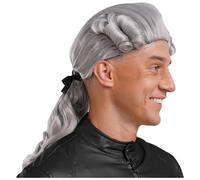 RUNQHUI Men's Colonial Historical Judge Role Play Wigs Curly Long Wave Colonial Historical Judge Costume Wigs Grey One Size