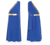 RUNQHUI Men's Roman Toga Caesar Party Fancy Dress Costume Ancient Greek God Metallic Gown One Shoulder Robe Royal Blue 3XL