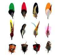 runrayay 12Pcs Hat Feathers, Assorted Natural Feathers for Fedora Hats Colorful Feathers Packs Accessories for Men Women, Cowboy Hats, Pork Pie Hats, Trilby Hats, Oktoberfest Hat