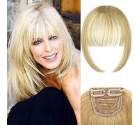 RUNRAYAY Clip in Bangs, Fake Hair Extensions Hair Clip on Wispy Bangs Hair Bangs Clip in Human with Temples Hairpieces for Women Natural Wigs Bangs Clip (Gold 2)