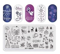 RUNRAYAY Snow Halloween Christmas Pattern Nail Stamping Plates, Nail Plate Manicure Image Template Festival New Year Nails Stencil
