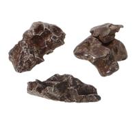 RUNROTOO Genuine Meteorite Sample for Classroom: 5g/0.011lb Asteroid Rock Specimen Scientific Ornament - Educational Meteorite Table Decor for Students Teachers