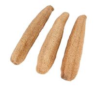 RUNROTOO Pet Loofah Chewing Teeth Grinding to Prevent Obesity and Maintain Agility 3pcs Natural Biting Chew for Guinea Pigs and Gerbils for Small Animals