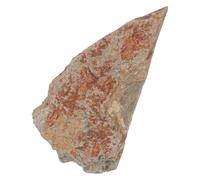RUNROTOO Specimen Display Featuring Fern Plant Stone Model, Sturdy Scientific Collectible for Educational and Decorative Use