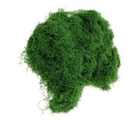 RUNROTOO Synthetic Silk-like Faux Moss 30g Pack for DIY Micro Landscape, Table Centerpiece and Potted Plant Decoration, Green Simulation Moss for Arts and Crafts