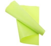 RUNROTOO Terrarium Bedding and Guards against Dust and Pet's Waste Protects Glass Container Light Green Large Reptile Cage Carpet Made of Sturdy Eva Material for Bearded Dragon