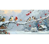 Ruohuo Large Diamond Painting Kit Robin Bird Diamond Art Kits Adults Snow Scene 5D DIY Diamond Painting Art Kits,Square Full Drill Gem Art Rhinestone for Kids Adults Beginners,Home Wall Decor 25x50cm