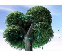 Rupert and The Magic Books