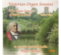 Rupert Gough - Victorian Organ Sonatas, Vol 3/ Organ of St.Patrick's cathedral, Dublin