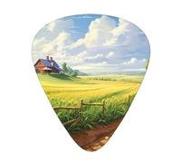 Rural Trail Guitar paddles, bass guitar, electric guitar or Hawaii four strings (12 packs, thin, medium, heavy)