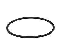 RURBRIN (1PC) P58147800 Motor Seal Gasket Fit for Summer Waves SFX600 & SFX1000 Filter Pumps