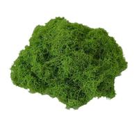Rurunklee Artificial Moss Green Dried Moss Decorative Fake Bulk Moss for Flower Plant Garden Lawn Crafts Wedding Decoration 100g