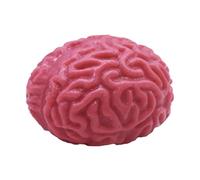 Rurunklee Brain Stress Ball Toy,Realistic Halloween Squishy Toys - Realistic Fake Organ, Bloody Scary Halloween Squeeze Toy, Promotes Healthy Thinking for Halloween