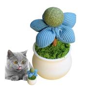 Rurunklee Catnip Flower Toy - Flower Pot Design Catnip Balls | For Indoor Kitten, Entertainment, Lick Safe Healthy Pet Feed Supplies For Play, Safe Materials, Organic
