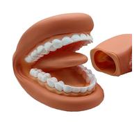 Rurunklee Fake Mouth | Educational Soft Wearable Mouth | Fake Teeth Model Wearable Model, for Realistic Demonstrations, for Kids, Teaching Aid