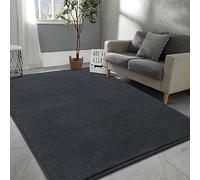 Rururug Rugs Living Room 120x170 cm Super Soft and Shaggy Rugs for Bedroom, Modern Plain Thick Pile Area Rugs Machine Washable Anti-Slip Carpet, Grey Rug