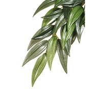 Ruscus plant decoration kit Exo Terra