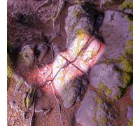 Rushford, James - Lake from the Louvers [VINYL]