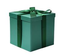 RUSPEPA Medium Birthday Gift Box with Lids, Ribbon and Tissue Paper, Collapsible Gift Box - 1 Pcs, 25.4 x 25.4 x 25.4 cm, Green