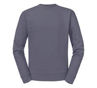(3XL, Convoy Grey) Russell Mens Authentic Sweatshirt