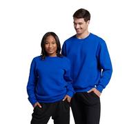 Russell Athletic Men's dri athletic sweatshirts, Royal, L UK