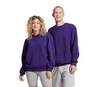 Russell Athletic Men's Medium athletic sweatshirts, Sweatshirt-purple, M UK