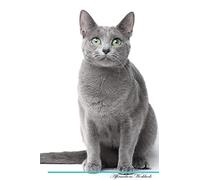 Russian Blue Cat Affirmations Workbook Russian Blue Cat Presents: Positive and Loving Affirmations Workbook. Includes: Mentoring Questions, Guidance, Supporting You.